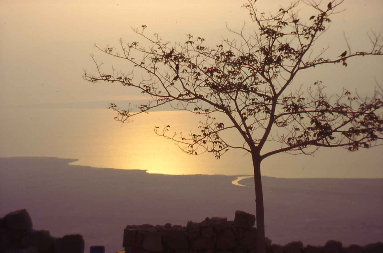 Lever de soleil sur la Mer Morte, vue de Masada [by Grauesel, GFDL]